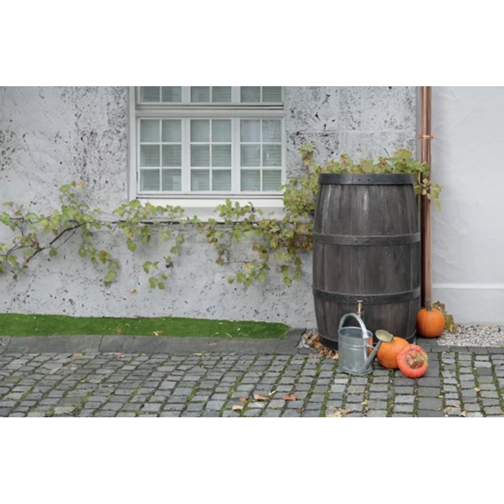 Regnvandsbeholder Prosperplast Arves Burgund, 500L | Regnvandsbeholdere | Vandtanke |