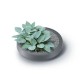 Regnvandsbeholder Prosperplast Maze, 240L |  |  |